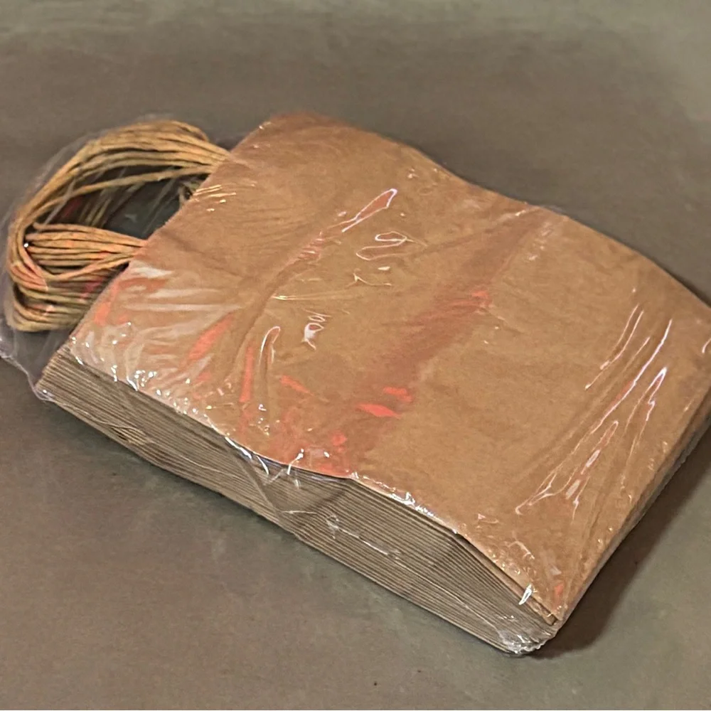 Brown Paper Gift Bags, 25, Kraft Bags, 10” tall